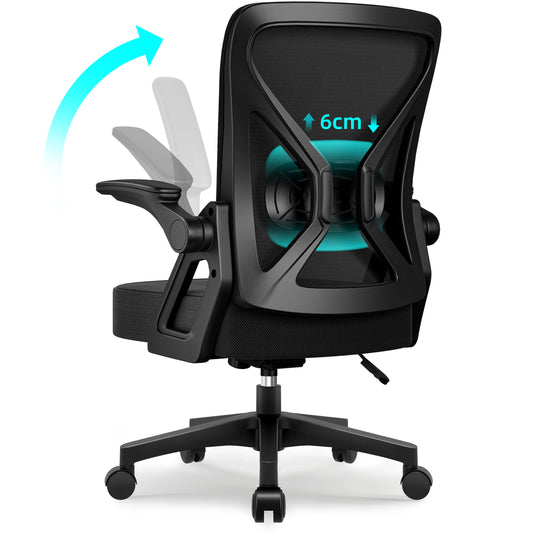 Hiazurm Ergonomic Office Chair with Adjustable Lumbar Support, Foldable Armrests, Rocking Function, Adjustable Height, Comfortable Mesh Desk Chair