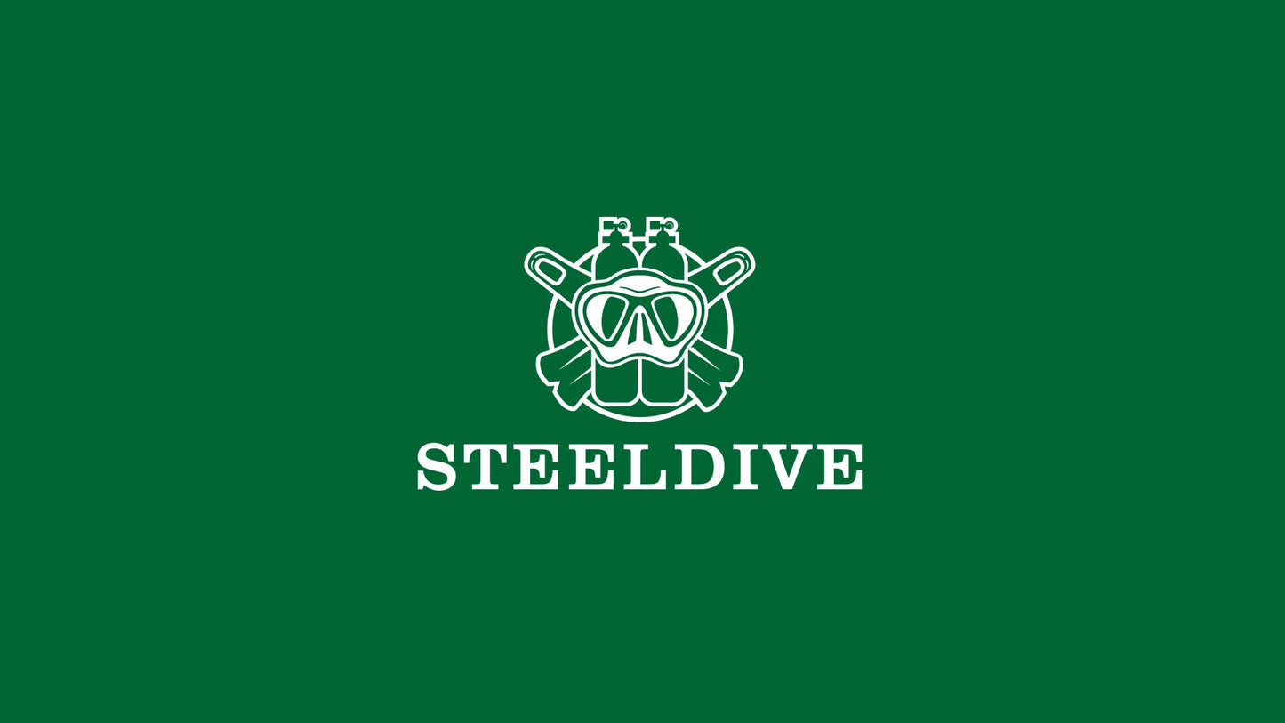 STEELDIVE SD1970J Kanagawa Turtle Full Luminous Dial Ceramic Bezel NH35 AutomaticSTEELDIVE Offical Store Mens Dive Watch