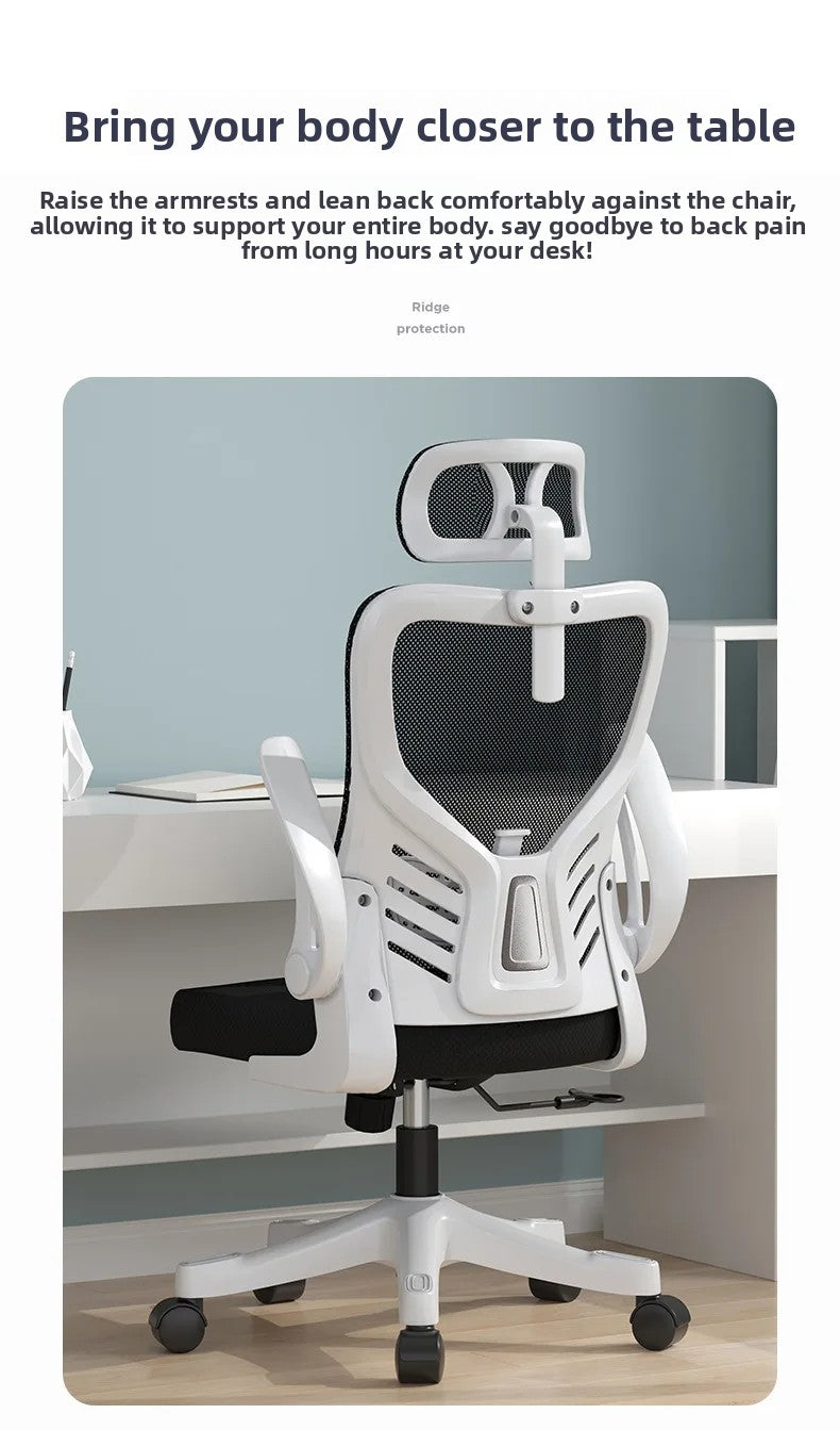 Office Chair Computer Office Ergonomic Office Sedentary Learning Mahjong Conference Dormitory