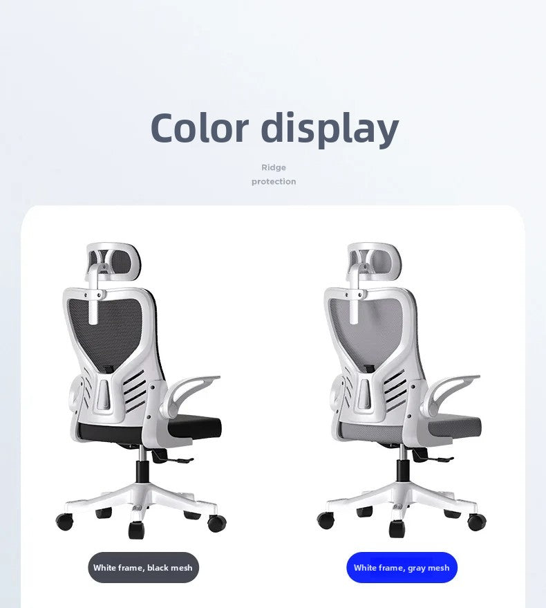 Office Chair Computer Office Ergonomic Office Sedentary Learning Mahjong Conference Dormitory