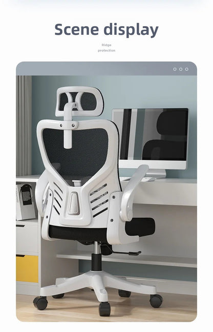 Office Chair Computer Office Ergonomic Office Sedentary Learning Mahjong Conference Dormitory
