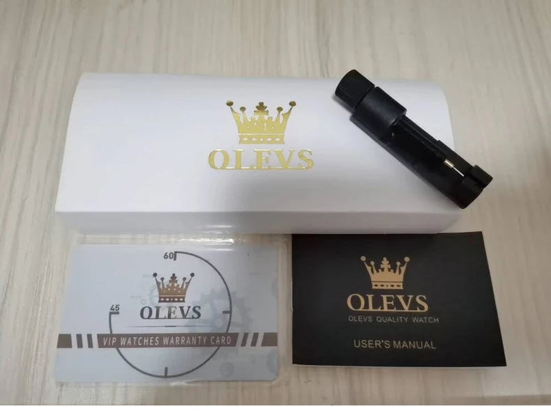 OLEVS Wristwatches Silver Gray Dial Automatic Mechanic Wrist Watch for Men Casual Sports Clock with Luminous relogios masculino