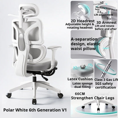 Ergonomic Study Chair High Back Office Chair with Lumbar Support, Adjustable Computer Desk Chair, Comfortable Home Work Chair with Armrests