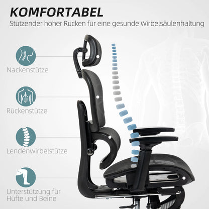 Ergonomic Office Chair with Lumbar Support, Adjustable Headrest, Footrest, Armrests, Reclining Mesh Desk Chair for Home Office