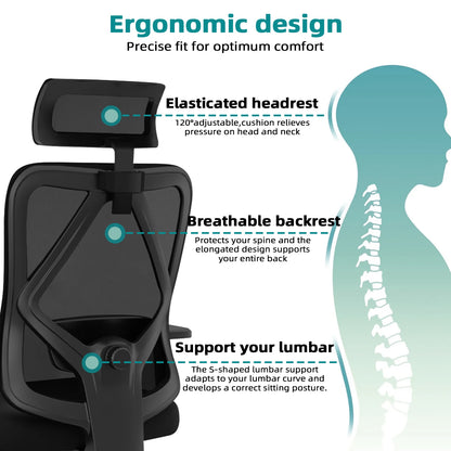 Daccormax Ergonomic Office Chair with 3D Lumbar Support, Mesh Desk Chair, Adjustable Headrest, Reclining Swivel Computer Chair for Home Office