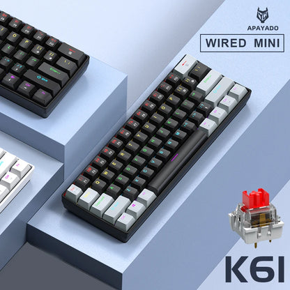 APAYADO K61 60% Mini Wired Gaming Mechanical Keyboard Phantom RGB, 61 Keys, Red/Blue Switch, Ergonomic, Portable for PC/Laptop